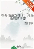 在修仙游戏抽卡：开局抽到浸猪笼
