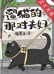 遛猫的那对夫妇