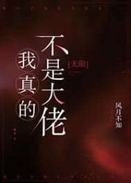 我真的不是大佬[无限]