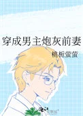 穿成男主炮灰前妻