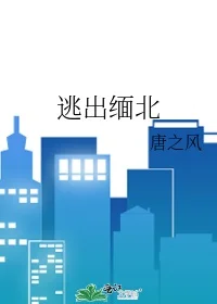 逃出缅北