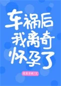 车祸后离奇怀孕了