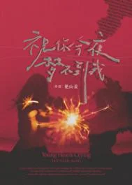 祝你今夜梦不到我