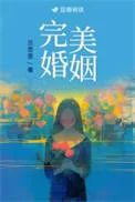 完美婚姻