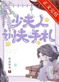 少夫人训夫手札