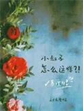 寡嫂为妻