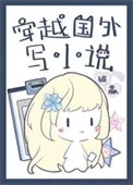 穿越国外写小说