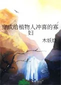 穿成给植物人冲喜的寡妇