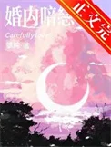 婚内暗恋[先婚后爱]