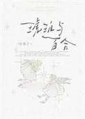 琥珀与百合