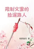 限制文里的捡漏路人