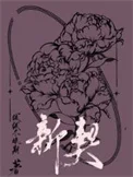 新契