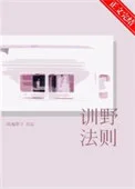 训野法则[破镜重圆]