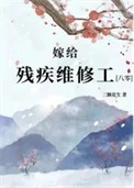 嫁给残疾维修工[八零]
