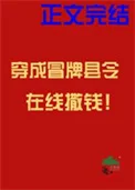 穿成冒牌县令在线撒钱
