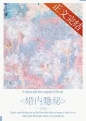 婚内隐秘