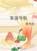 笨蛋导航