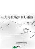 从夫郎赘婿到朝野重臣