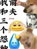 我和三个怨种前夫