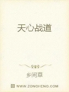 天心战道