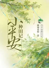 小平安种田记