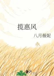 揽惠风
