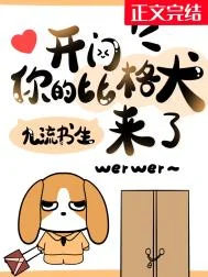 开门，你的比格犬来了！