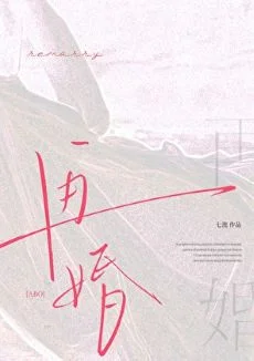 再婚abo