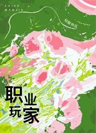 职业玩家