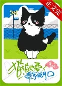 猫猫也要养家糊口