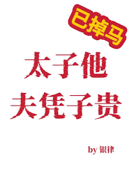 太子他夫凭子贵