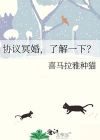 协议冥婚，了解一下？