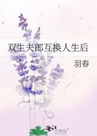 双生夫郎互换人生后