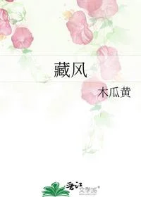 藏风
