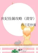 庆妃捡漏攻略（清穿）