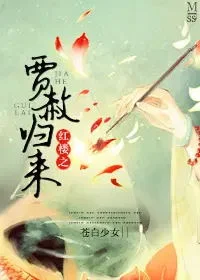红楼之贾赦归来