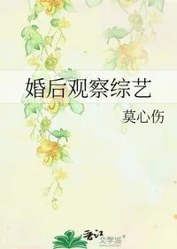 婚后观察综艺