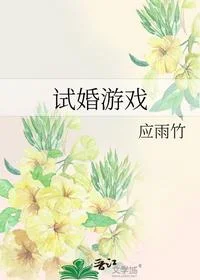 试婚游戏