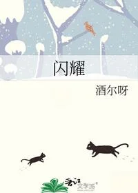闪耀