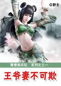 薄情佣兵妃:王爷妻不可欺