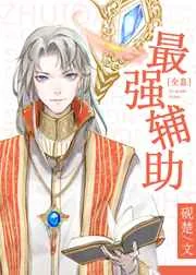 最强辅助[全息]
