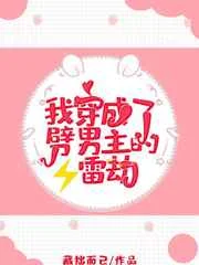 我穿成了劈男主的雷劫