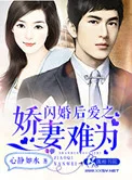 闪婚后爱之娇妻难为