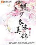 良陈美锦