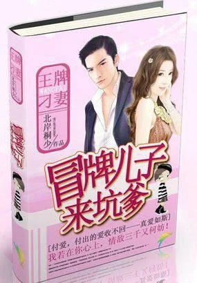 冒牌儿子来坑爹:王牌刁妻