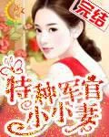 特种军官小小妻