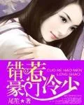 错惹豪门冷少