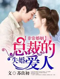 非常婚姻，总裁的失婚爱人