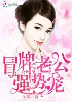 冒牌老公,强势宠!