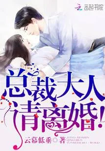 总裁大人,请离婚!